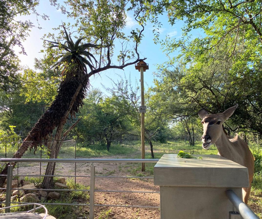Kruger'S Keep - Luxury Couples Haven Villa Marloth Park Kültér fotó
